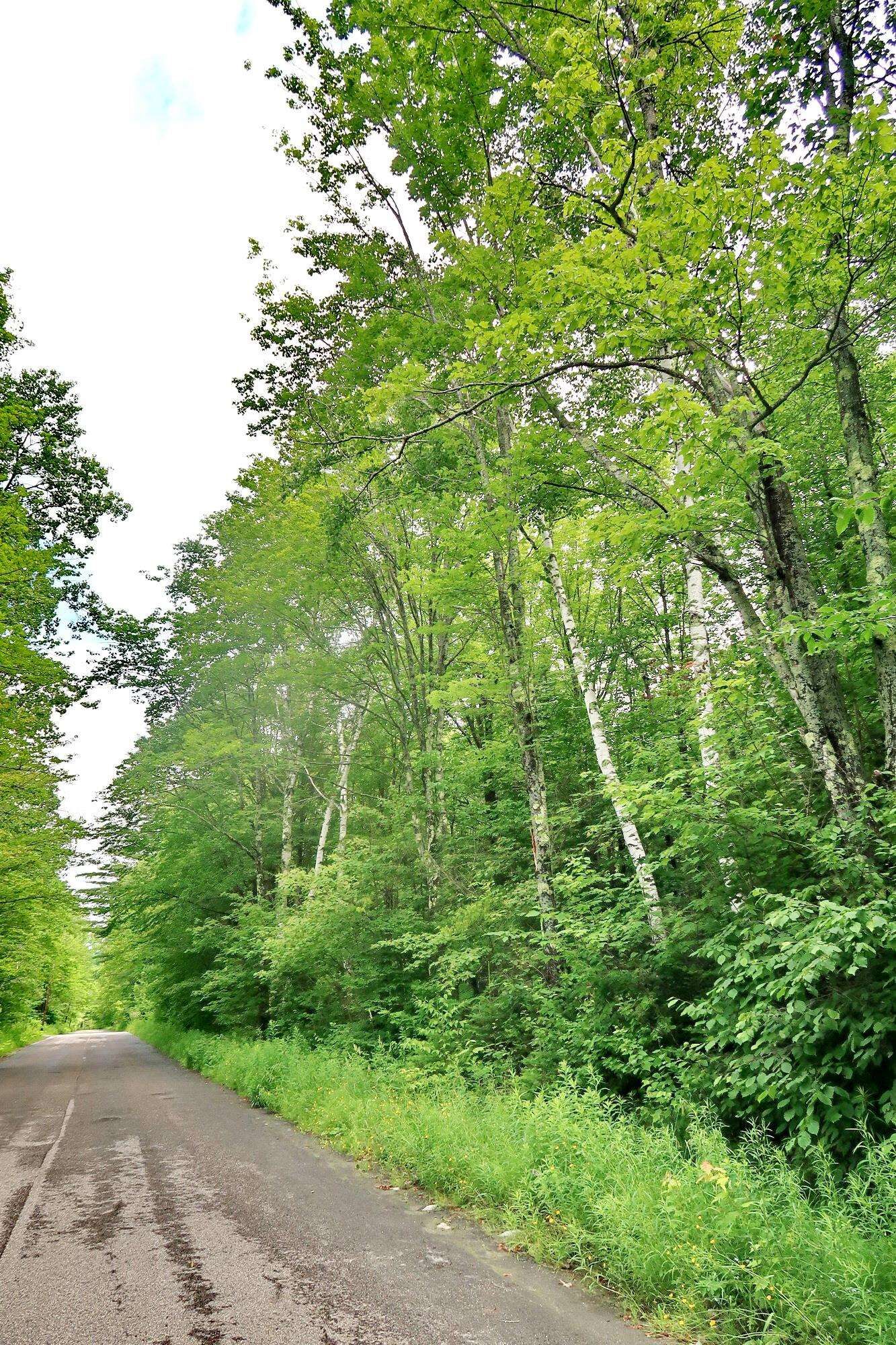 Property Photo:  Tbd Easton Road  NH 03586 