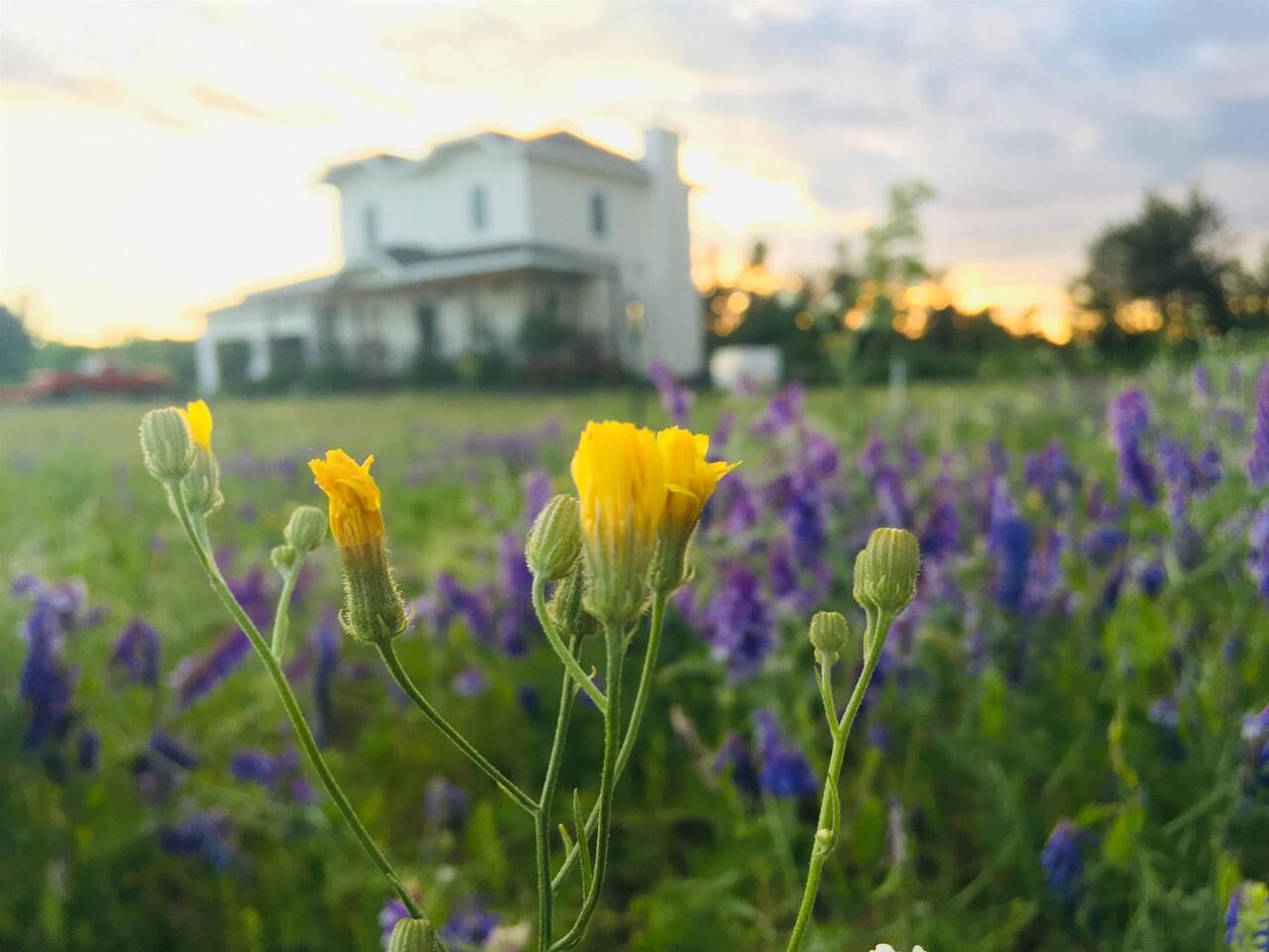 Property Photo:  N1841 980th Street  WI 54701