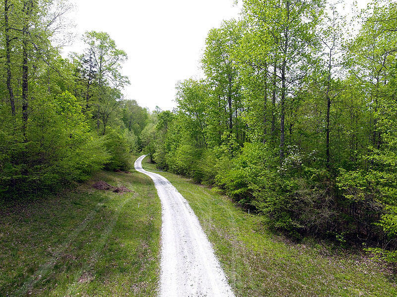 Property Photo:  Tract 11 Dogwood Drive  KY 42653 