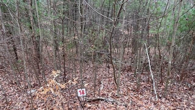 Property Photo:  Lot 14 Woods Haven Lane  VA 24171 