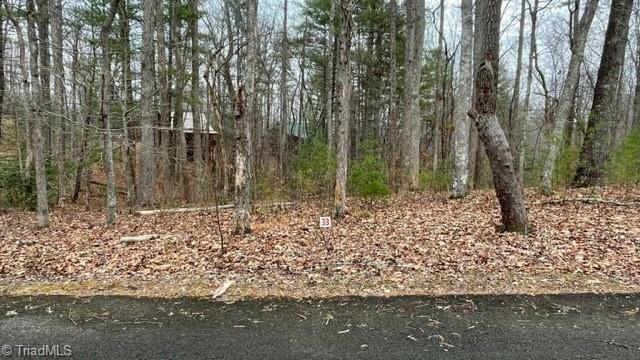 Property Photo: Lot 33 Reserve Trail VA 24171