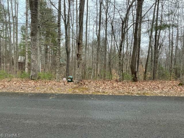 Property Photo: Lot 1 Reserve Trail VA 24171