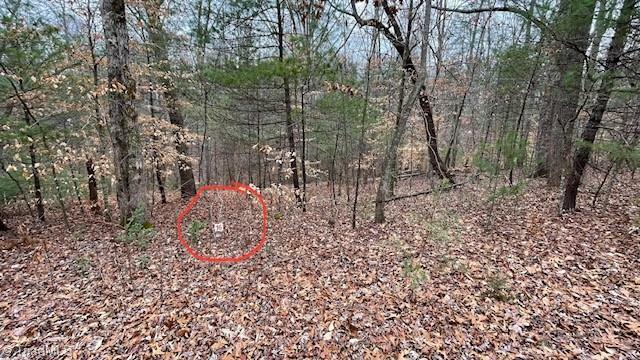 Property Photo: Lot 16 Woods Haven Lane VA 24171