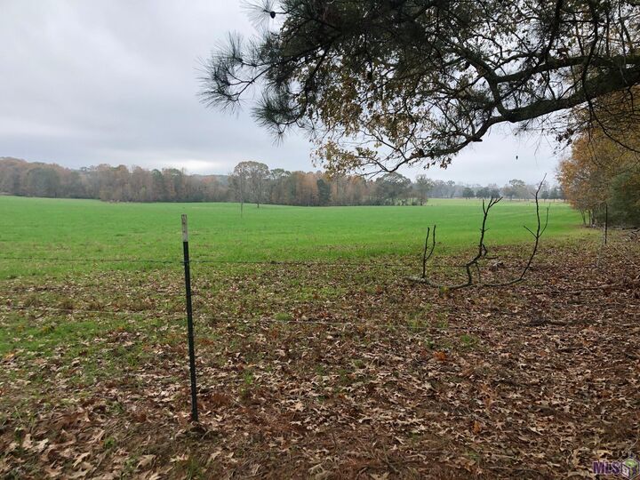 Property Photo: Jackson Louisiana Rd MS 39669