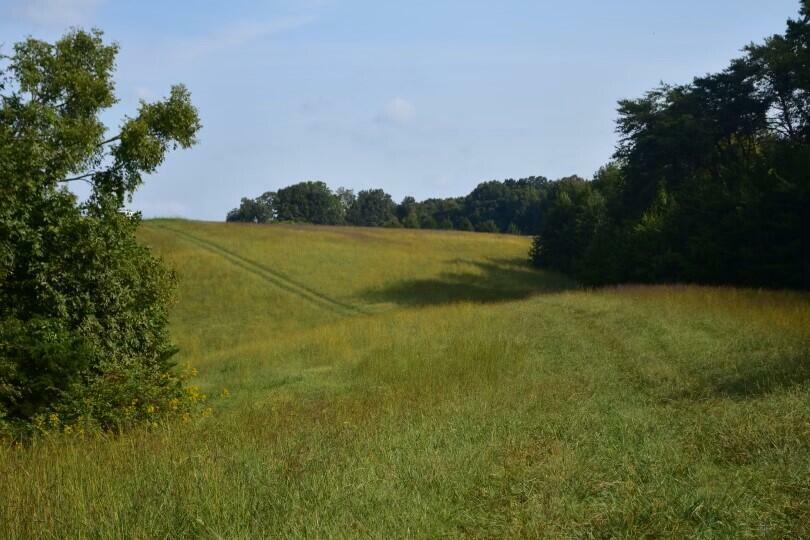 Lot 16 Plantation Drive  Rogersville TN 37857 photo