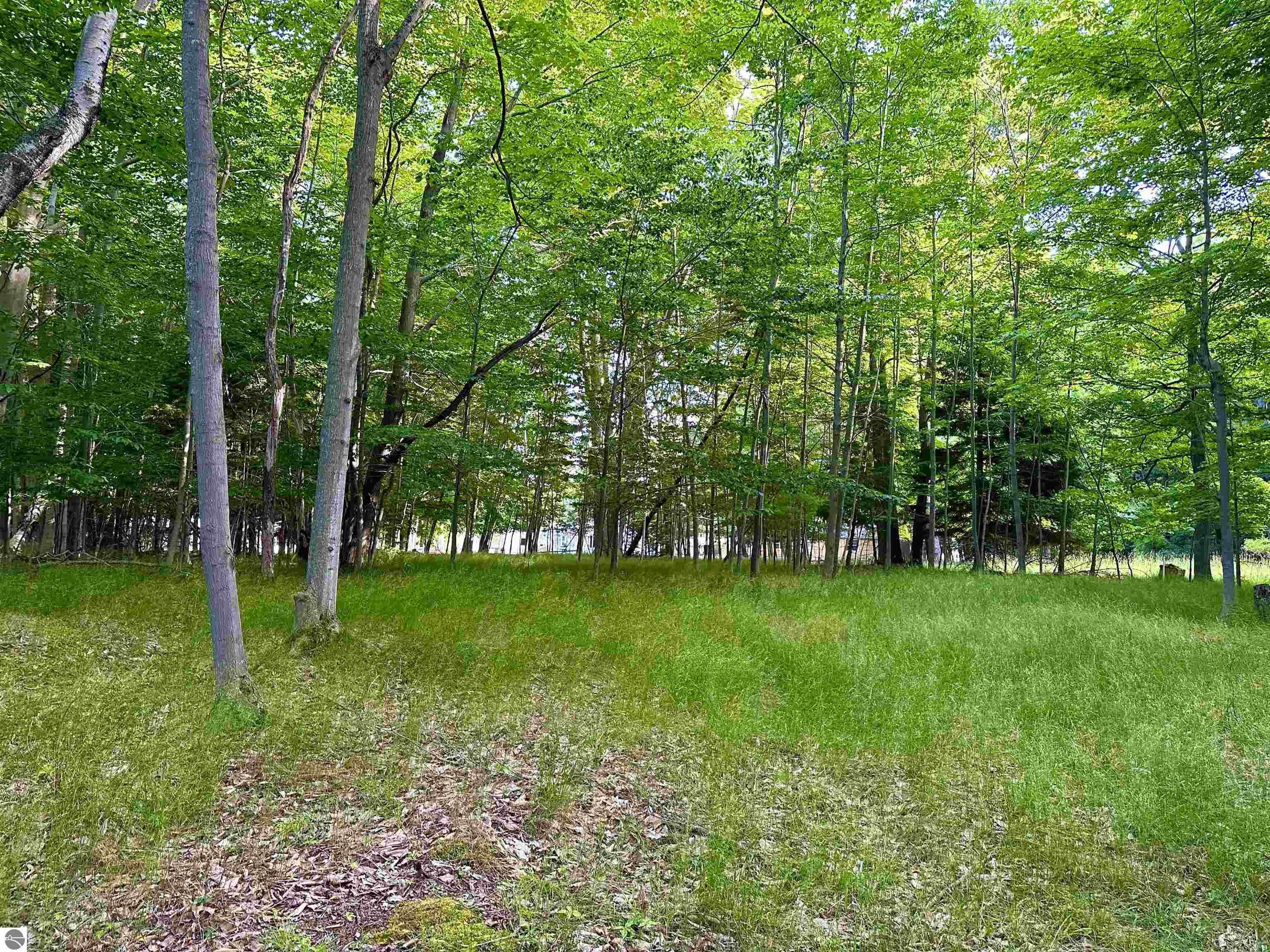 Property Photo:  212 Beech Street  MI 49635 