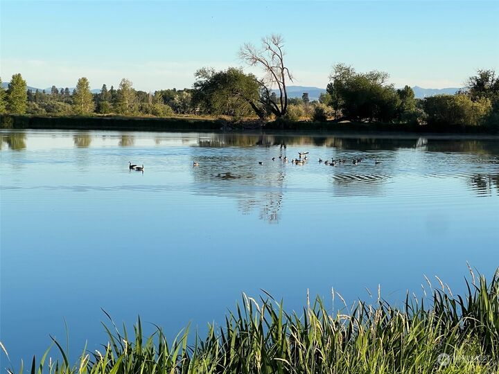 7275 Xx Number 6 Road  Ellensburg WA 98926 photo