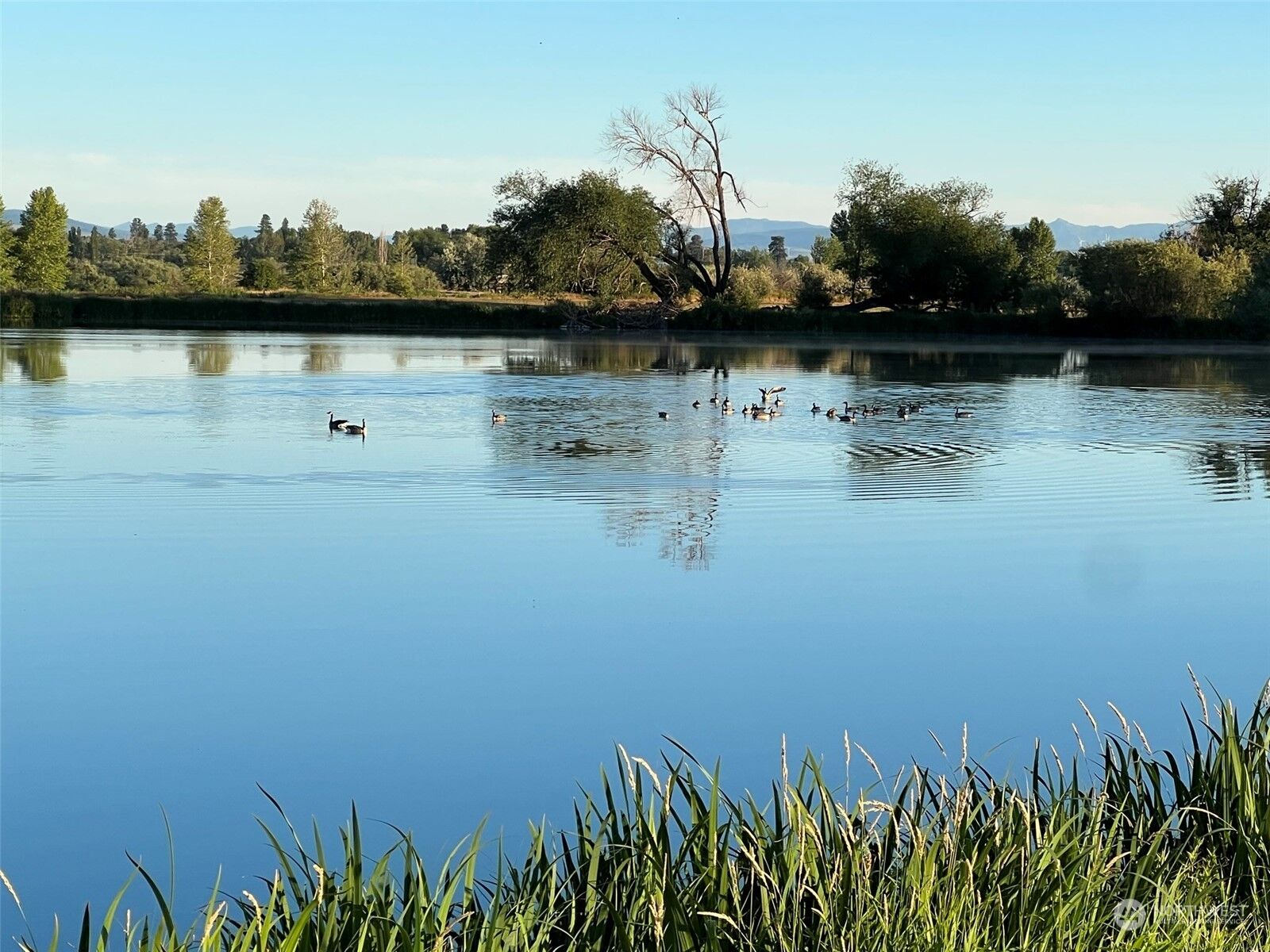 Property Photo:  7275 Xx Number 6 Road  WA 98926 