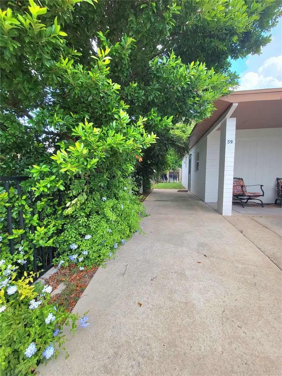 Property Photo:  59 Seaside Drive  FL 32176 