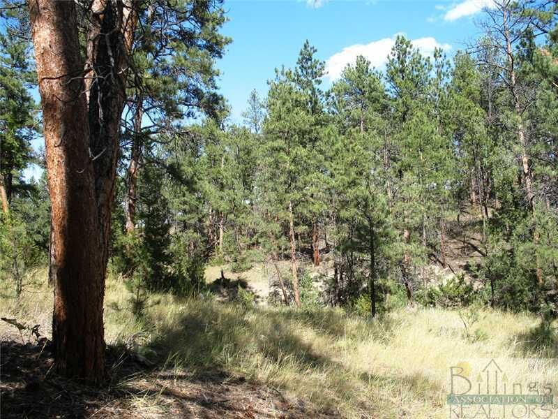 Property Photo: 00 Homestead Road MT 59015