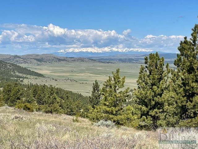 Property Photo:  198 Wildhorse Run  MT 59069 