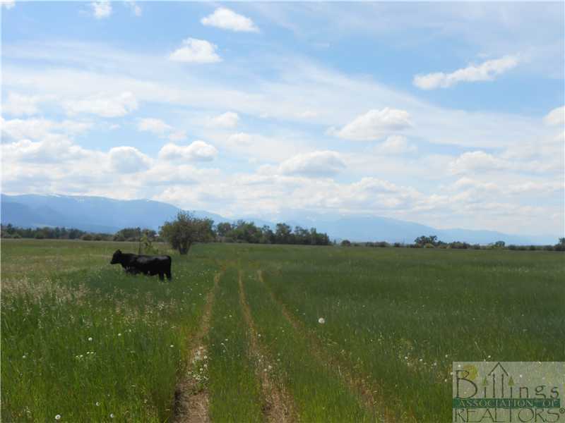 Property Photo: Nsn West Bench, Hwy 212 MT 59068