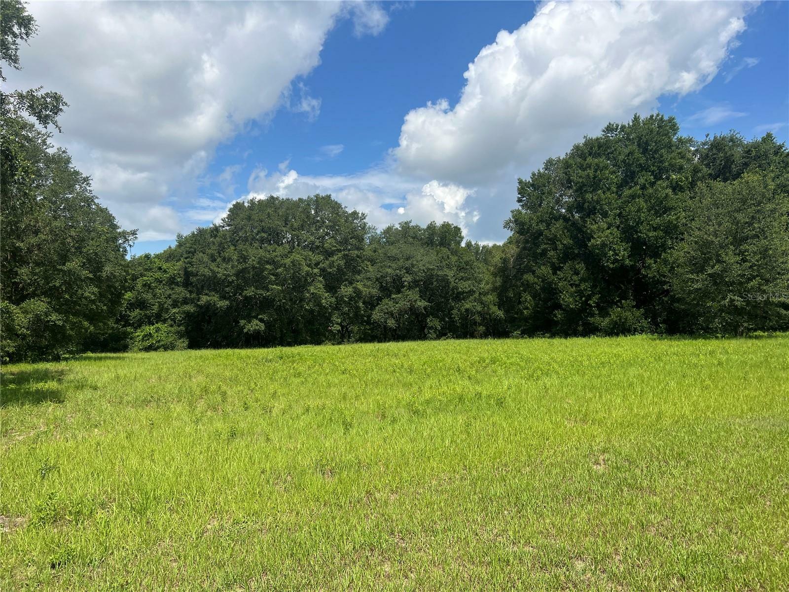 Property Photo:  00 SE 101st Court Road  FL 34420 