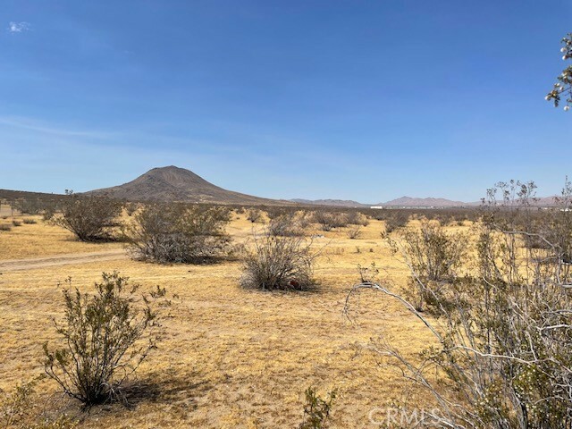 Property Photo:  0 Waalew Road  CA 92307 