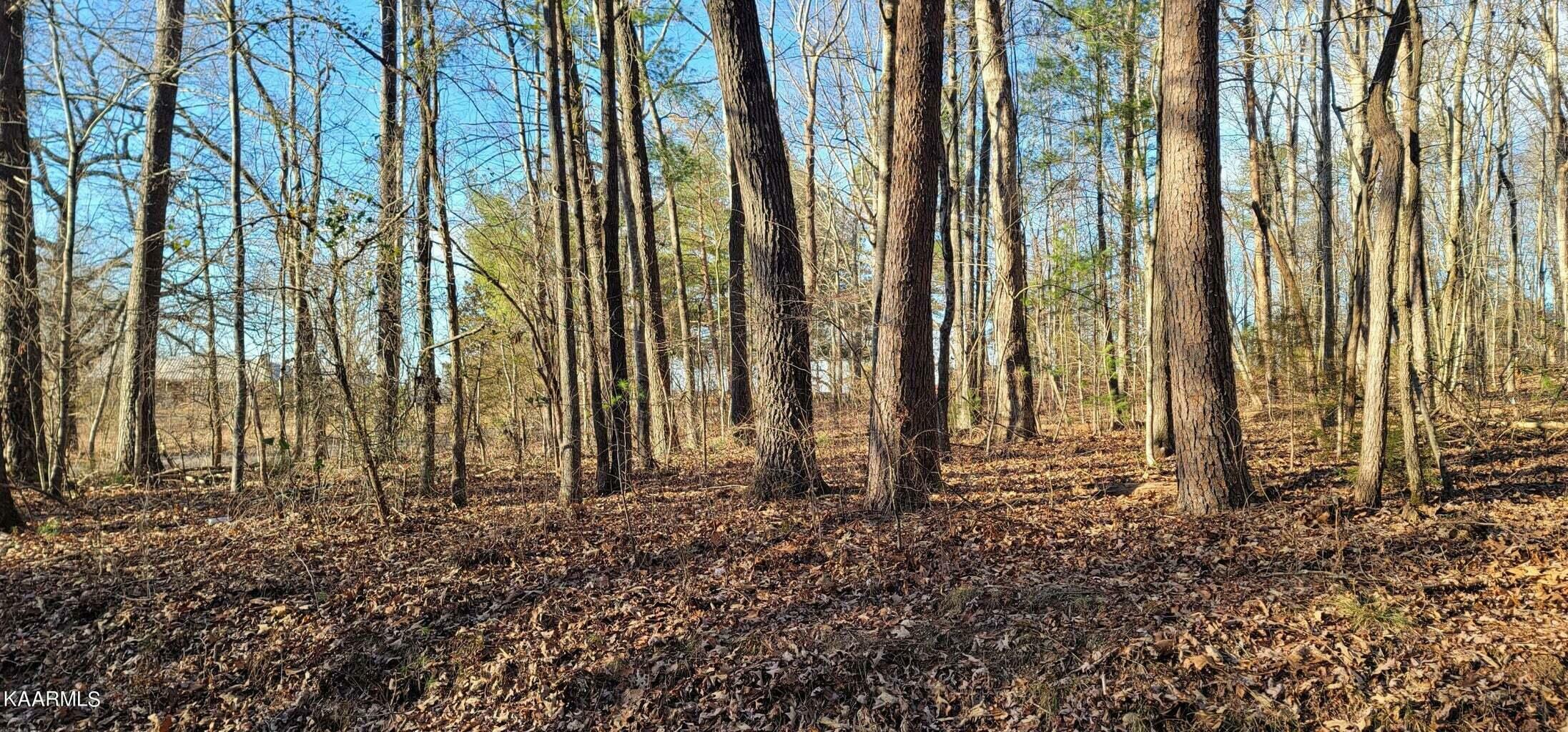 Property Photo:  Lot 5 Boyd Road  TN 37307 