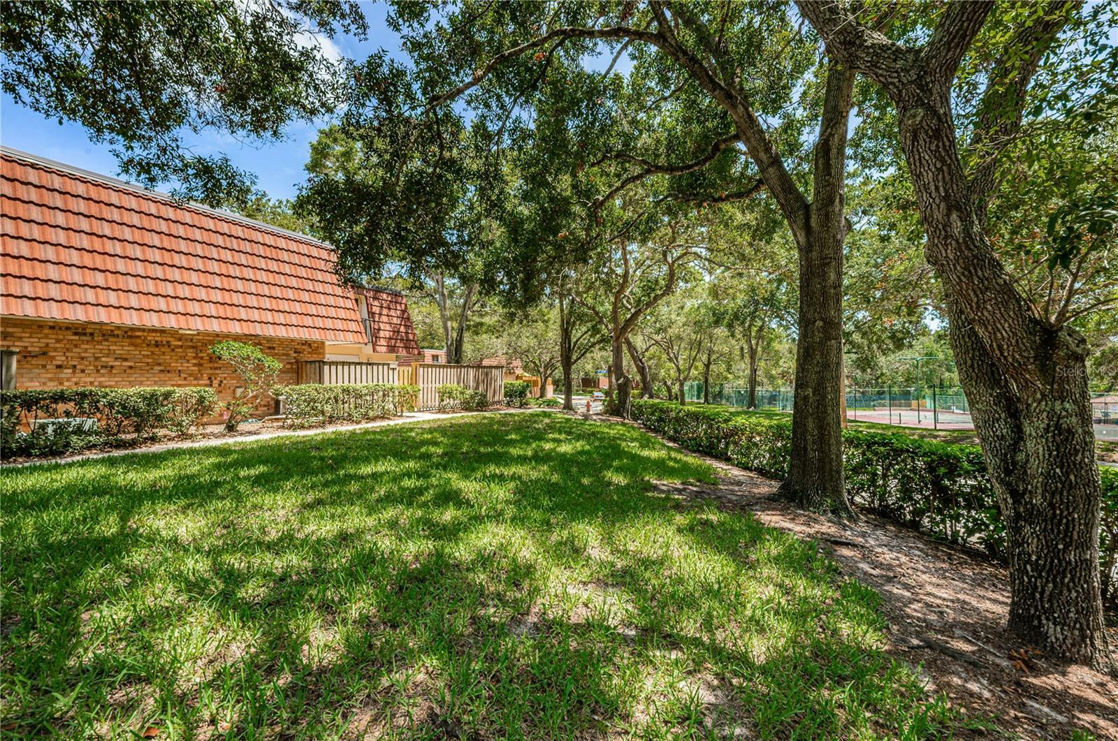 Property Photo: 2703 3rd Court FL 34684