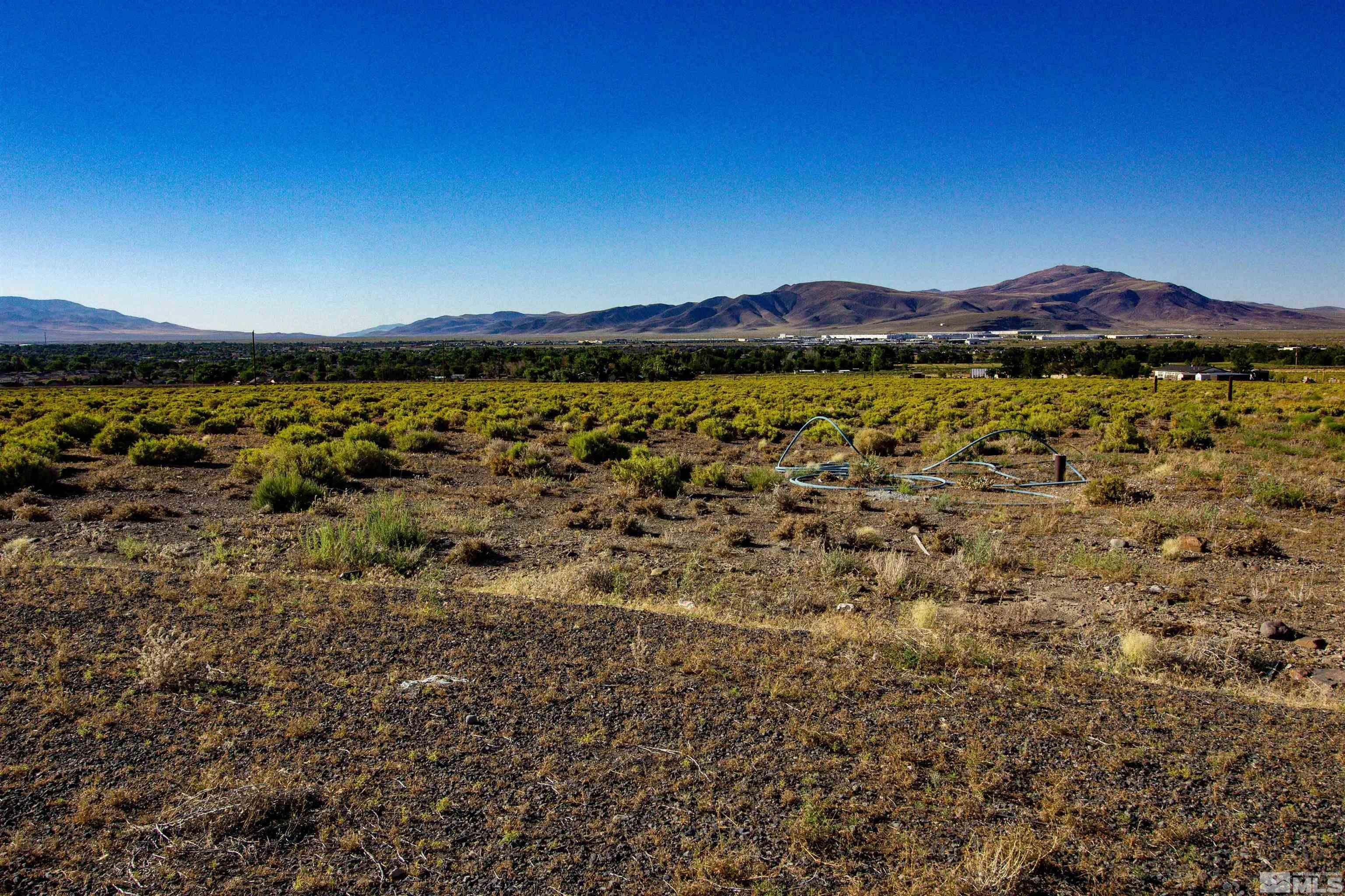 Property Photo:  12 Barnes Ln  NV 89408 