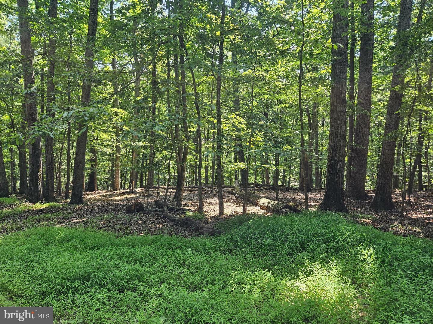 Property Photo:  Dogwood Ln  VA 20135 