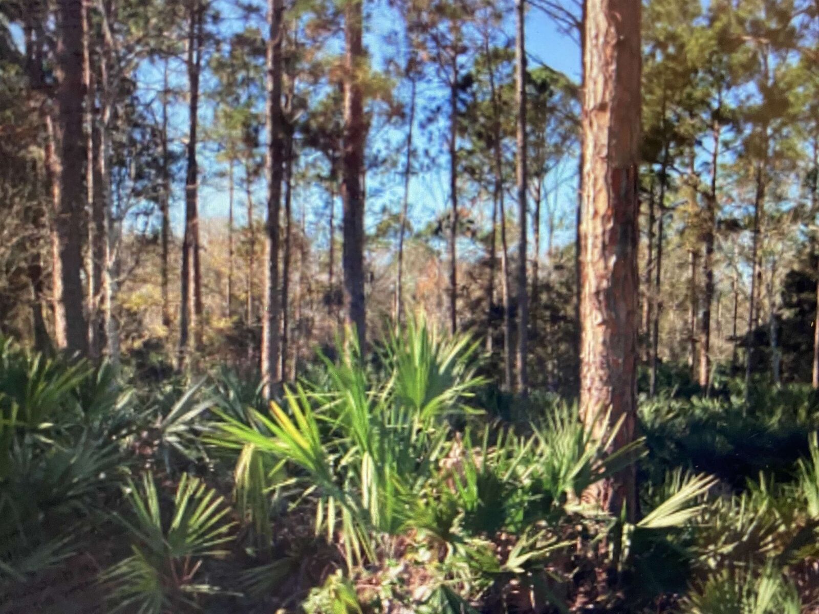 Property Photo: 929 Helen Street FL 32084