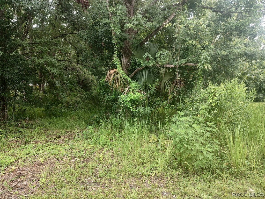 Property Photo: 734 NE 11th Street FL 34428