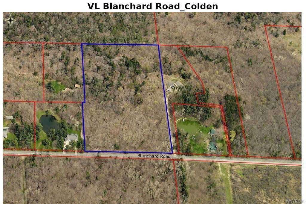 Property Photo:  Vl Blanchard Road  NY 14033 