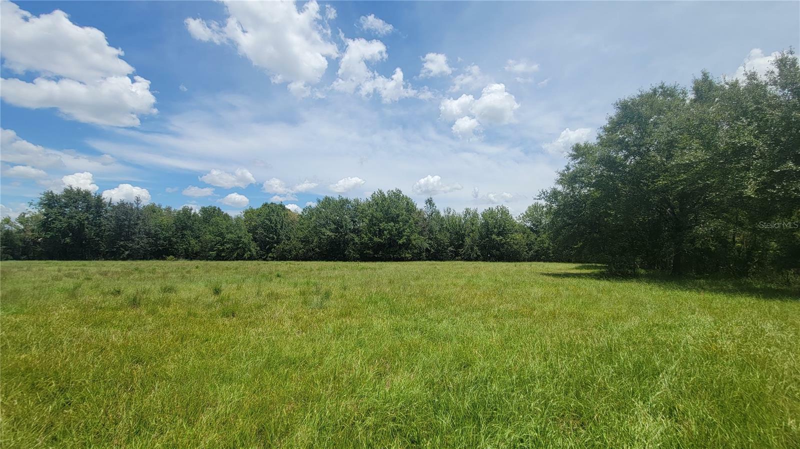 Property Photo: Ranch Road FL 33511