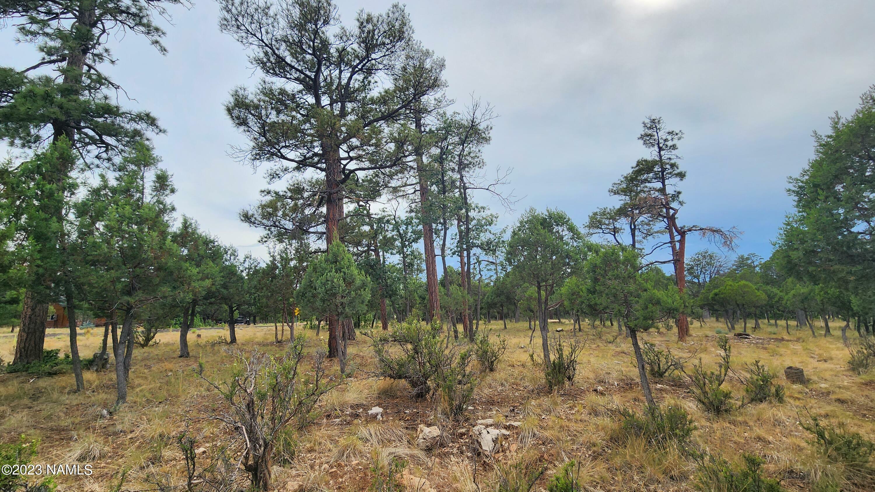 Property Photo:  2368 Pine Crest Drive  AZ 86024 