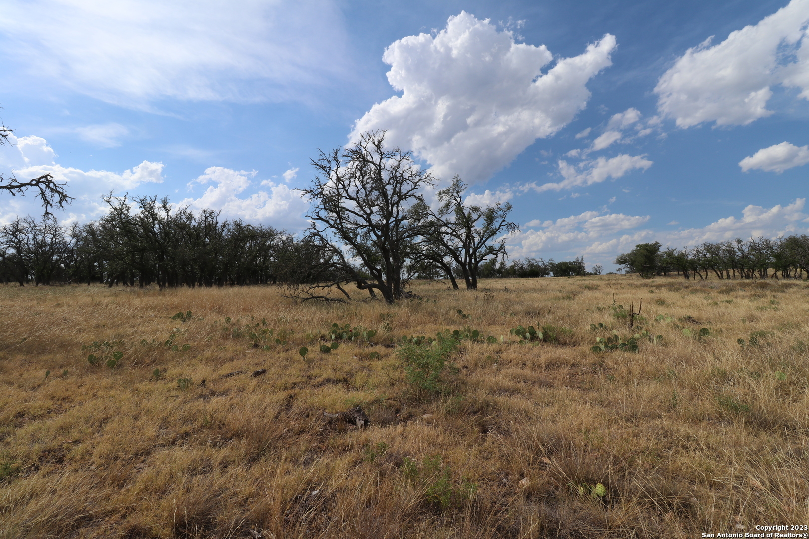 Property Photo:  Lot 40 Nott Branch Rd  TX 78631 