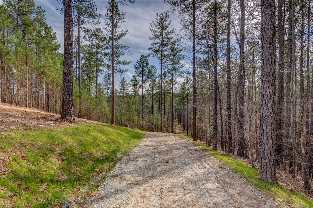 Property Photo: Lot 19 Grays Peak Drive SC 29676