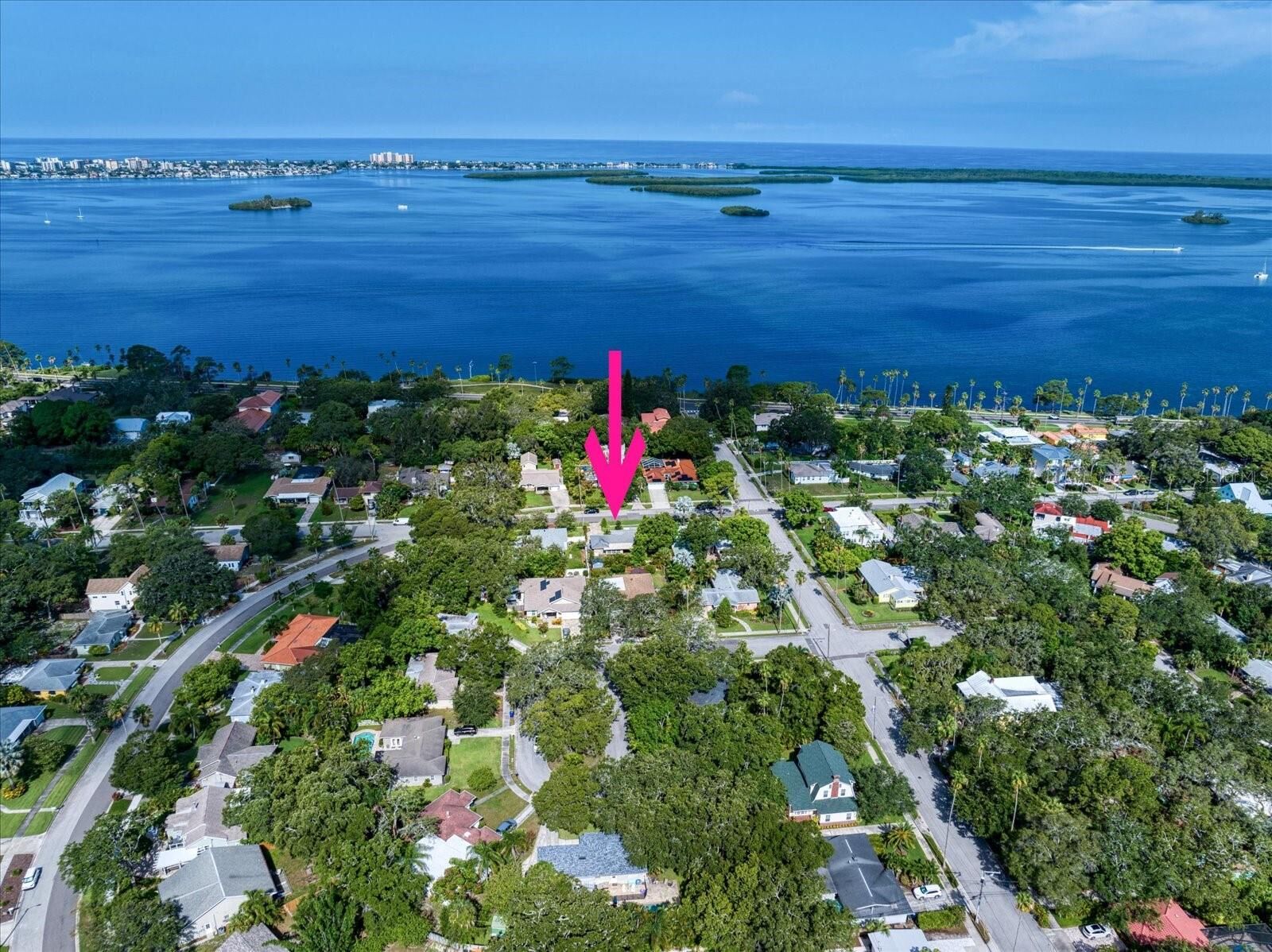 Property Photo: 253 Citrus Avenue FL 34698