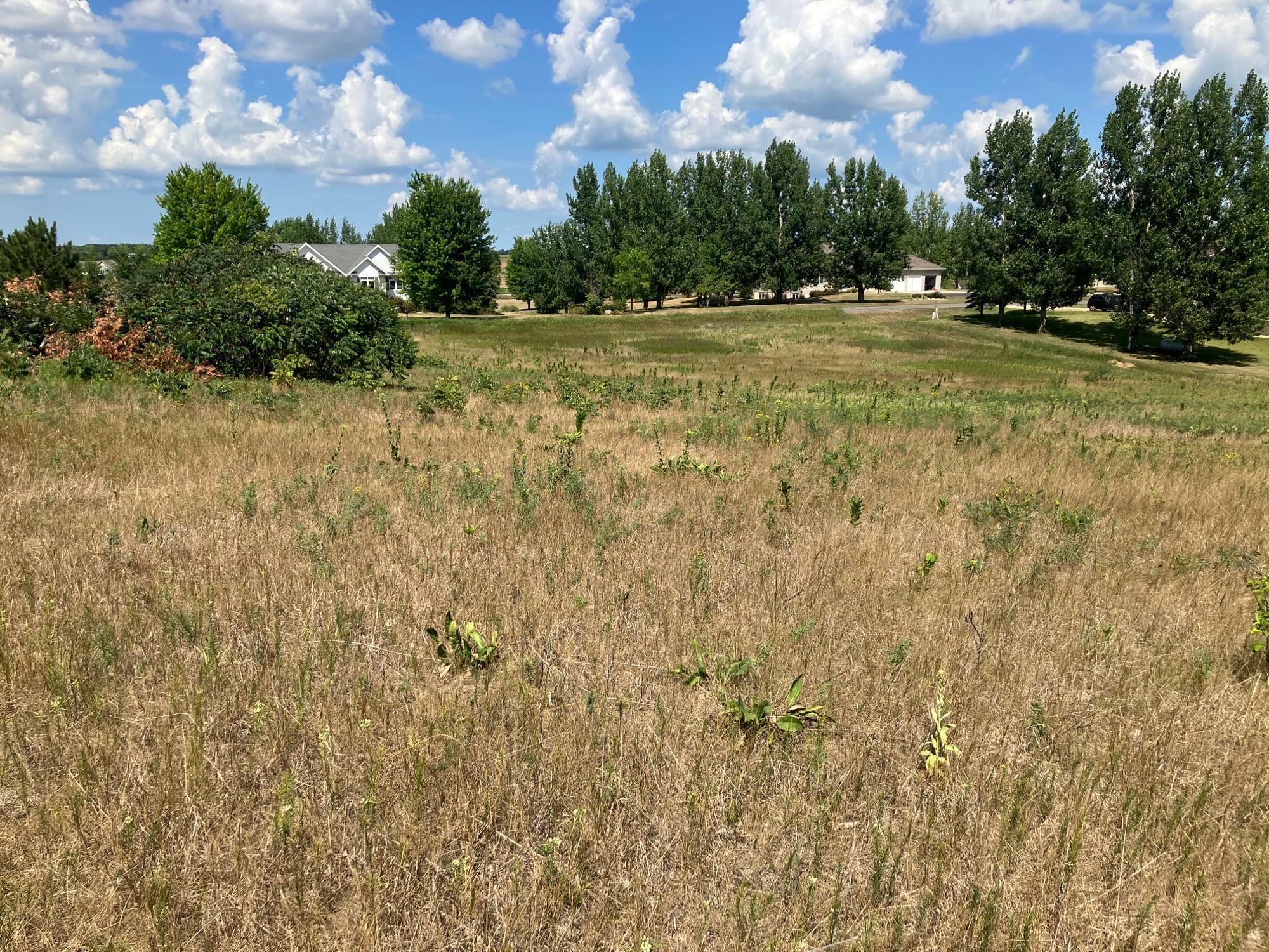 Property Photo:  Xxxxx Oakview Heights Trail  MN 56537 