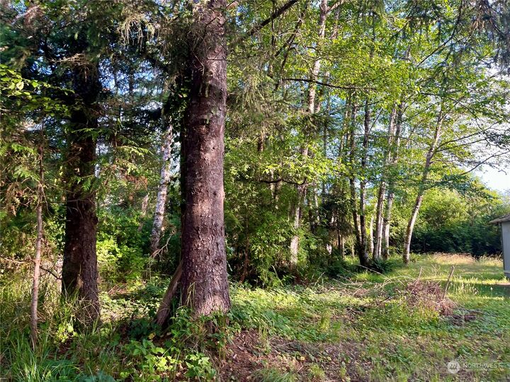 Property Photo:  1075 Pine Street  WA 98547 