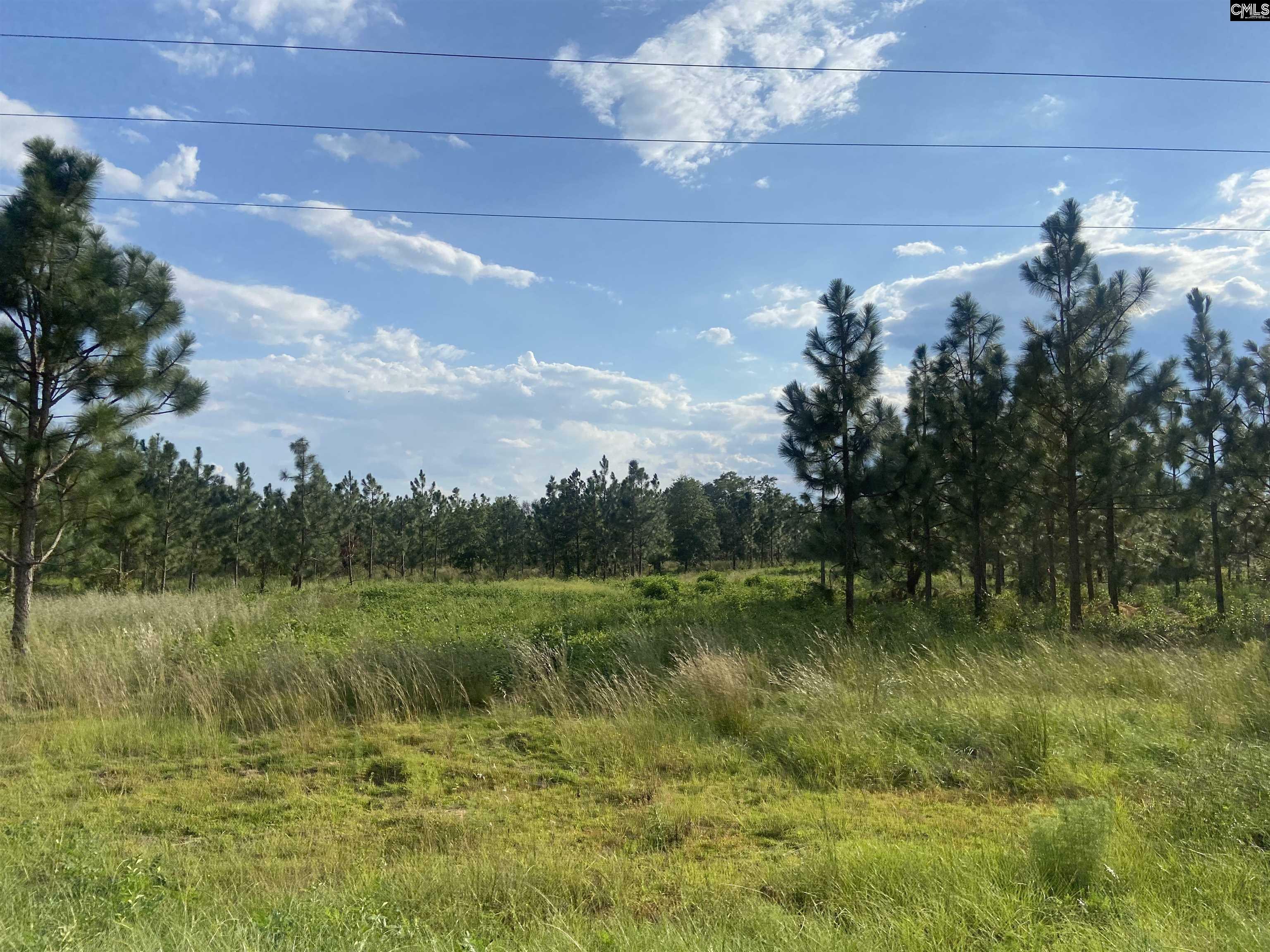 Property Photo:  2953 Bethune Rd Lot 3  SC 29009 