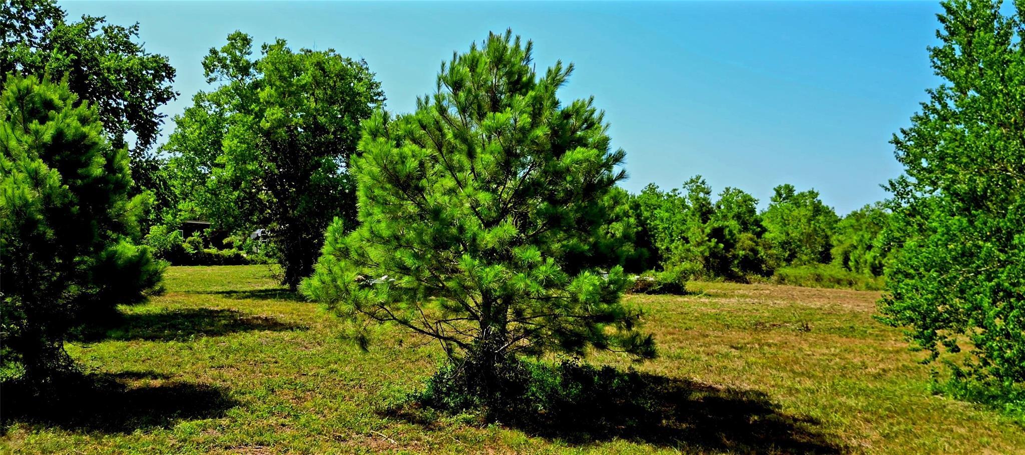 Property Photo: 0 Fm 1960 Road E TX 77336