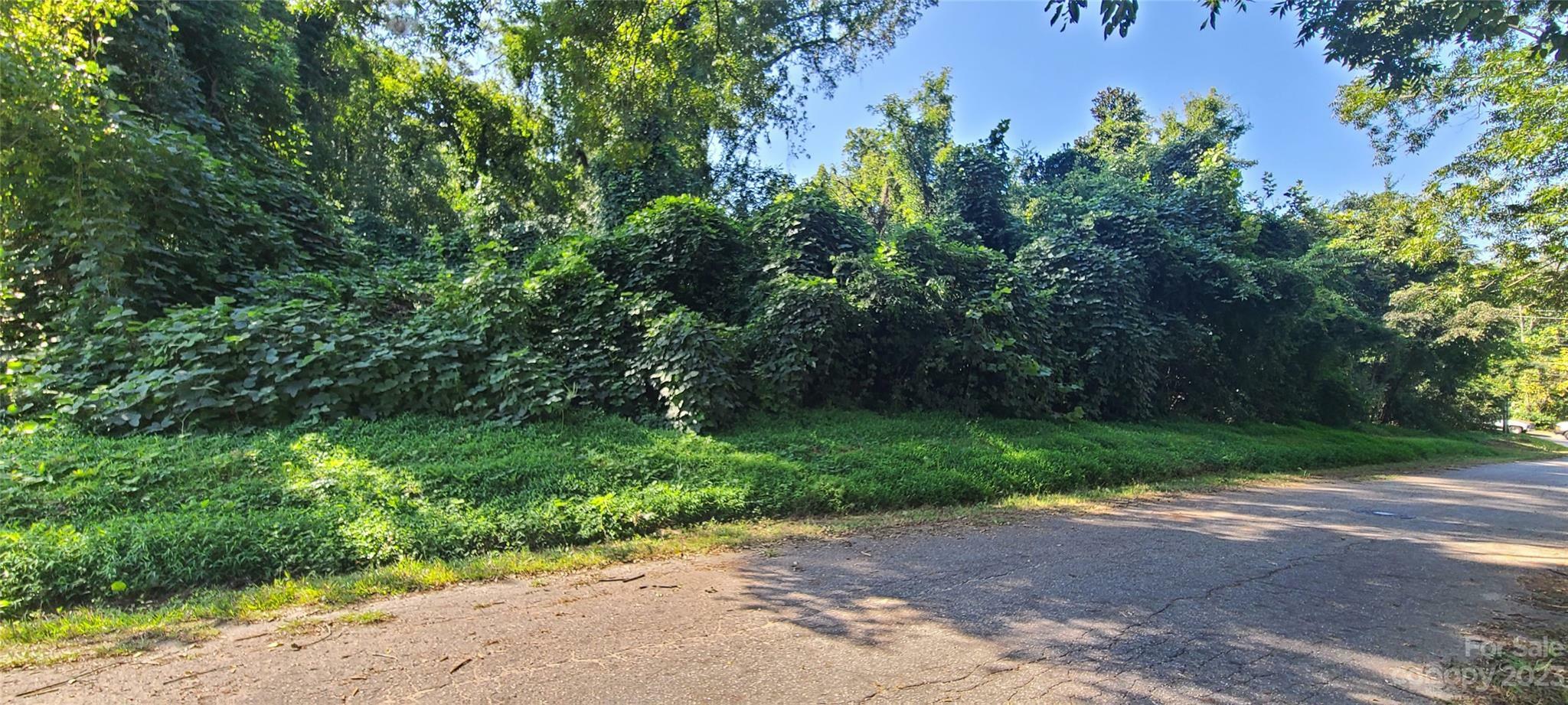 Property Photo: 0 Covington Street 3 NC 28379