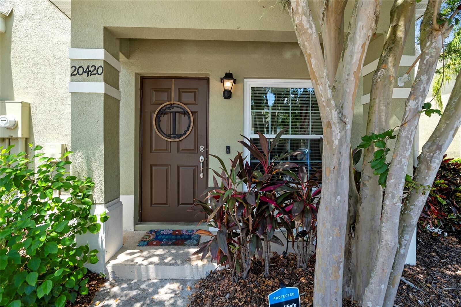 Property Photo:  20420 Berrywood Lane  FL 33647 