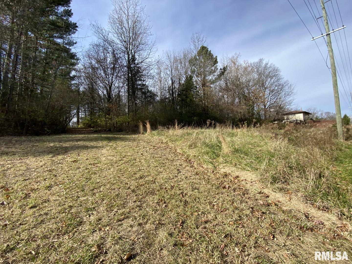 Property Photo: 00 Wood Road IL 62966