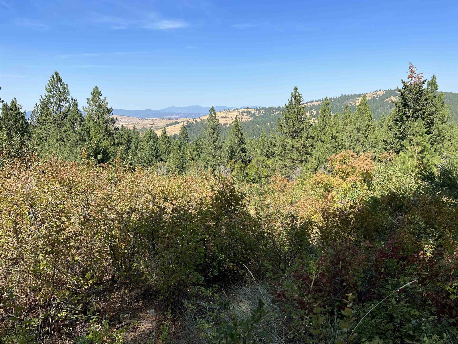 Property Photo:  23xxx E Henry Rd  WA 99019-5038 