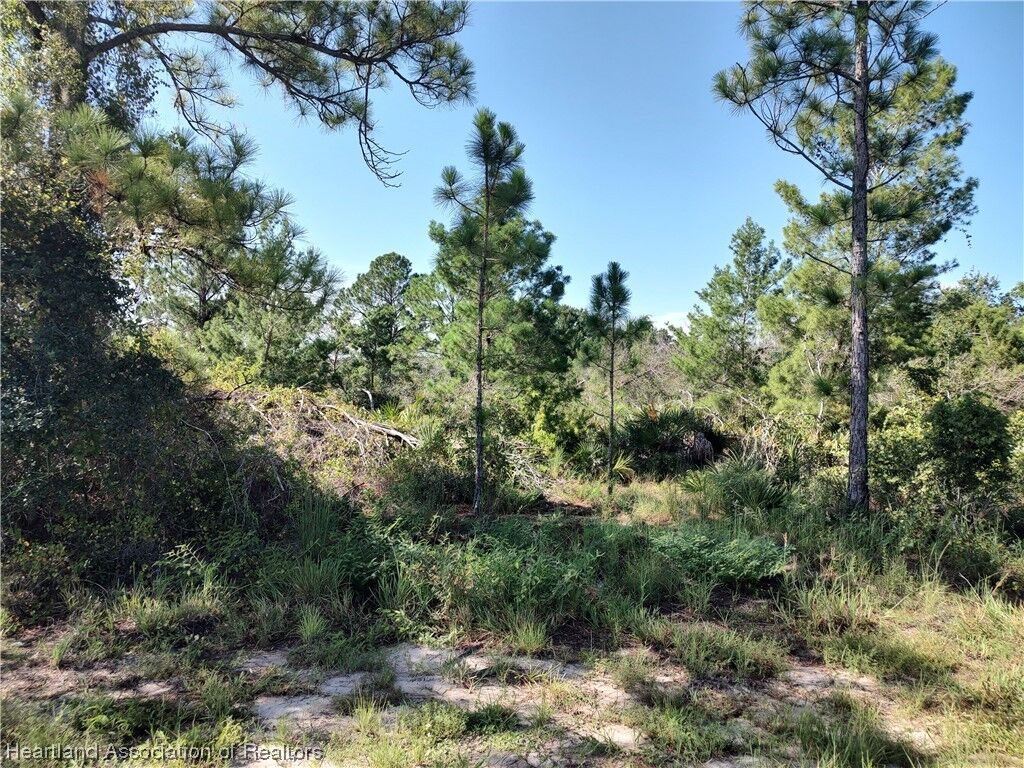 Property Photo:  209 Islamorada Street NE  FL 33852 