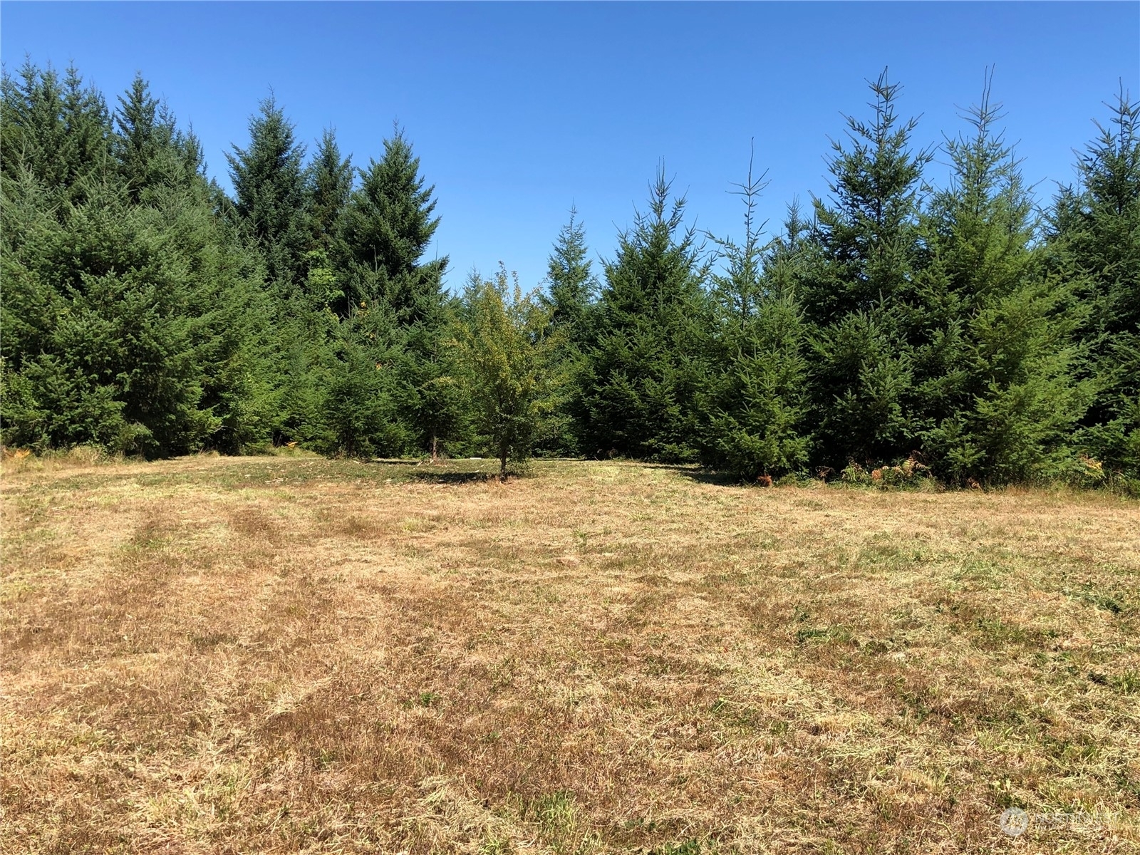 Property Photo: 3 Halliday Road WA 98531