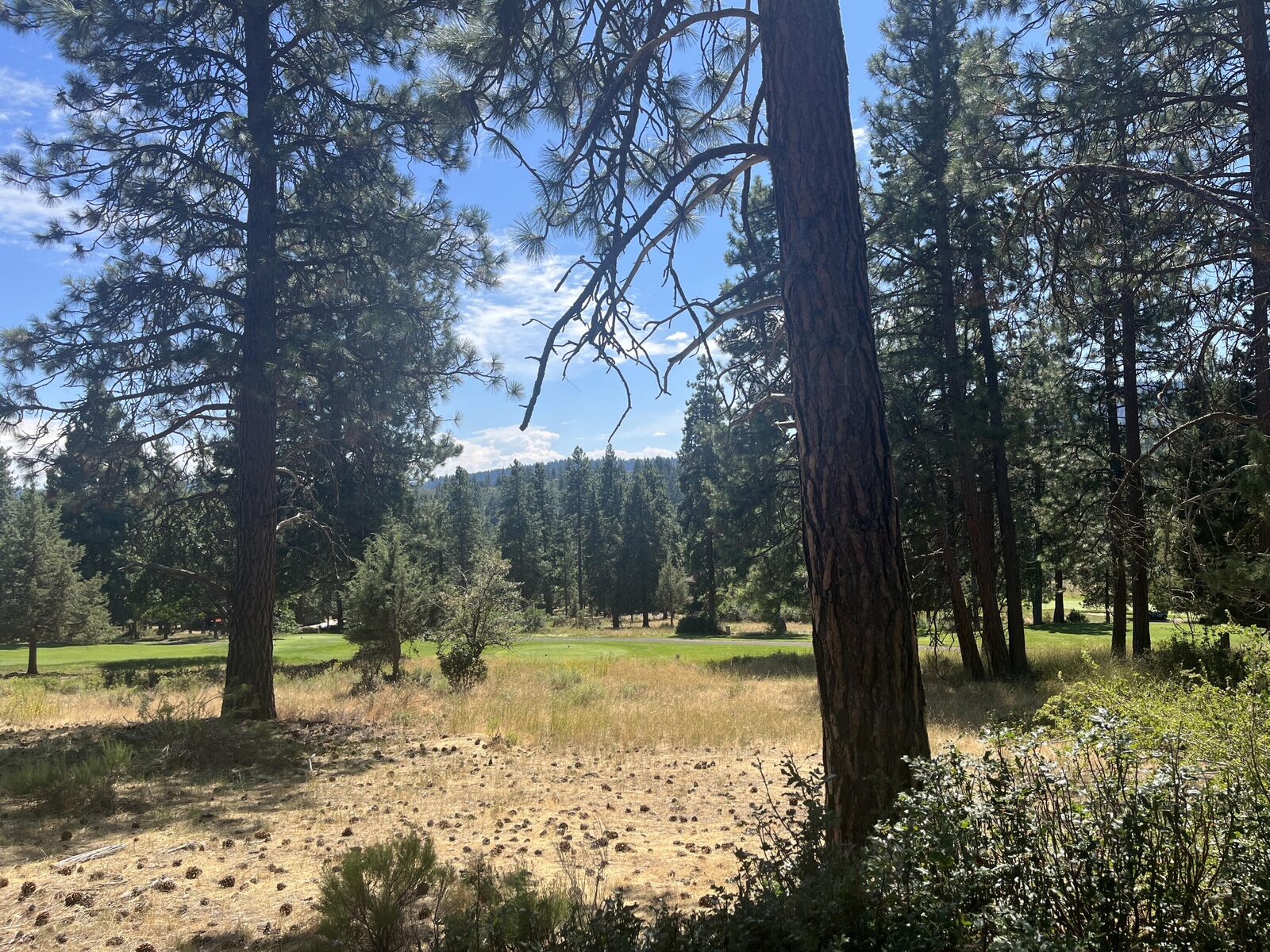 Property Photo:  0 Siskin Lane Lot 29  OR 97601 