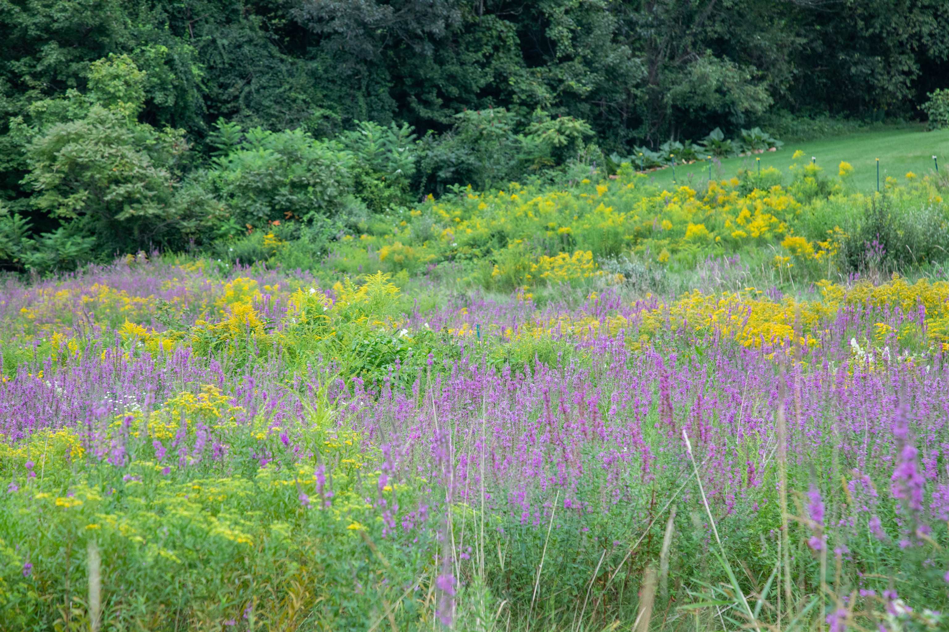 Property Photo:  476 Old Turnpike Road  NH 03048 