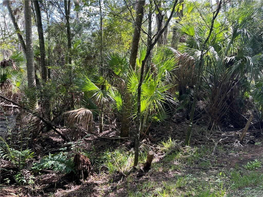 Property Photo:  10714 W Marker Path  FL 34448 