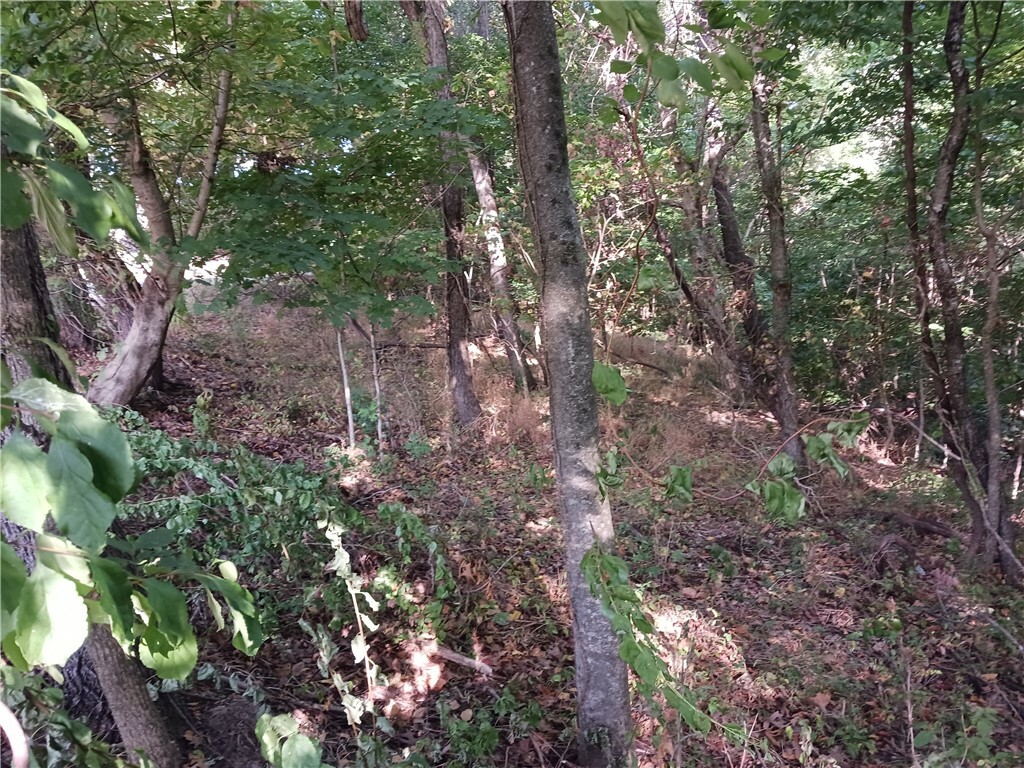 Property Photo:  Lots 15 & 16 N Lakeview Drive  AR 72756 