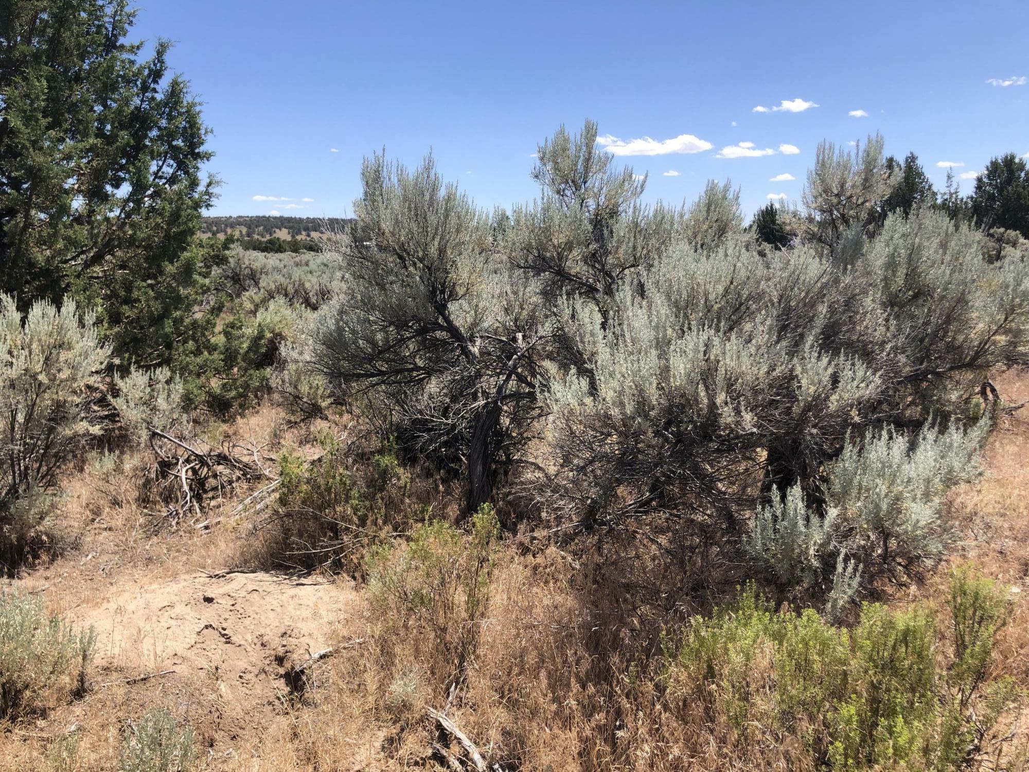 Property Photo:  Tl1100 SE Teton Road  OR 97754 