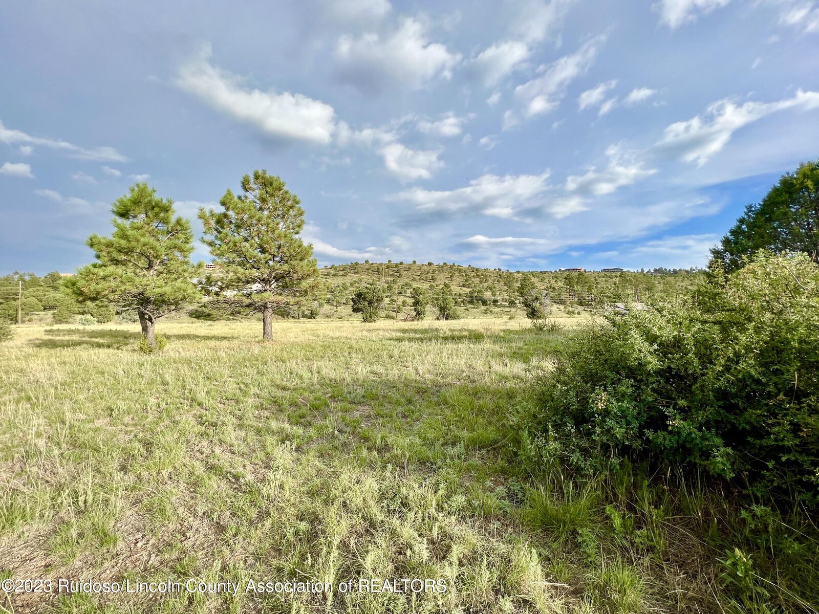 Property Photo:  261 Cinch Court  NM 88312 
