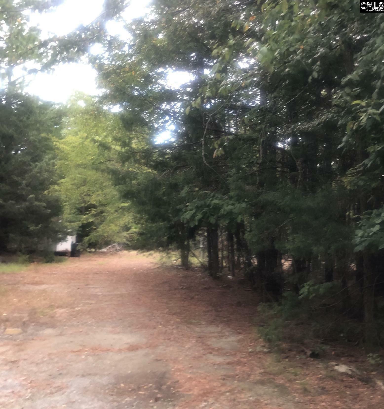 516 Old Bush River  Chapin SC 29036 photo