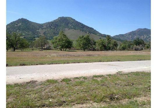 Property Photo:  0 0 Gaston #94  CA 93657 