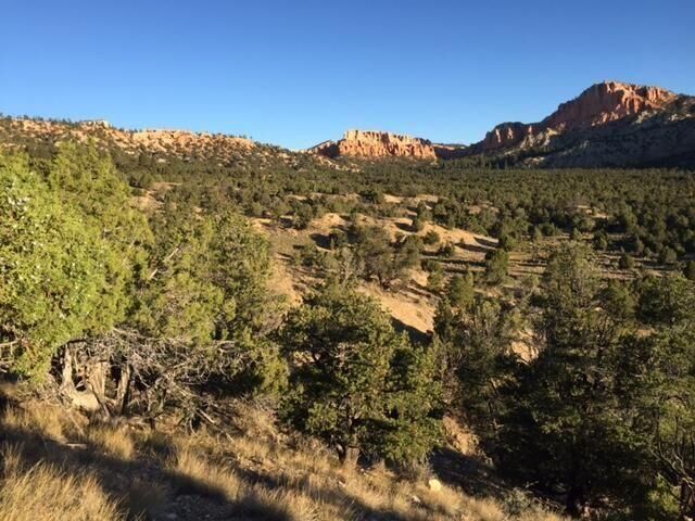Property Photo:  1000 W Tropic Trail Bordering Bryce Canyon  UT 84776 