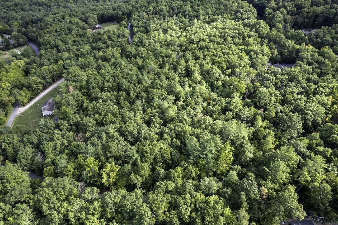 Property Photo: Lot D3 Holiday Hill Rd 74A-4-D3 VA 22835